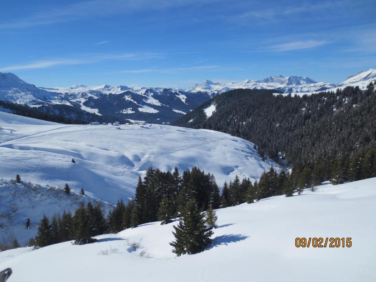 L'onyx - Domaine De Nant Cruy Chalet