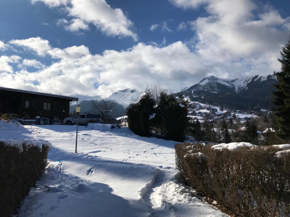 L'onyx - Domaine De Nant Cruy Chalet Sallanches